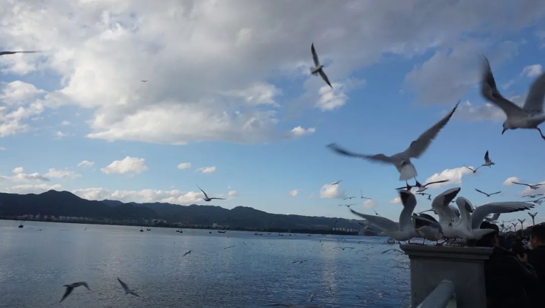 昆明景点攻略旅游去哪里好玩_昆明景点攻略旅游去哪里_旅游攻略昆明必去景点
