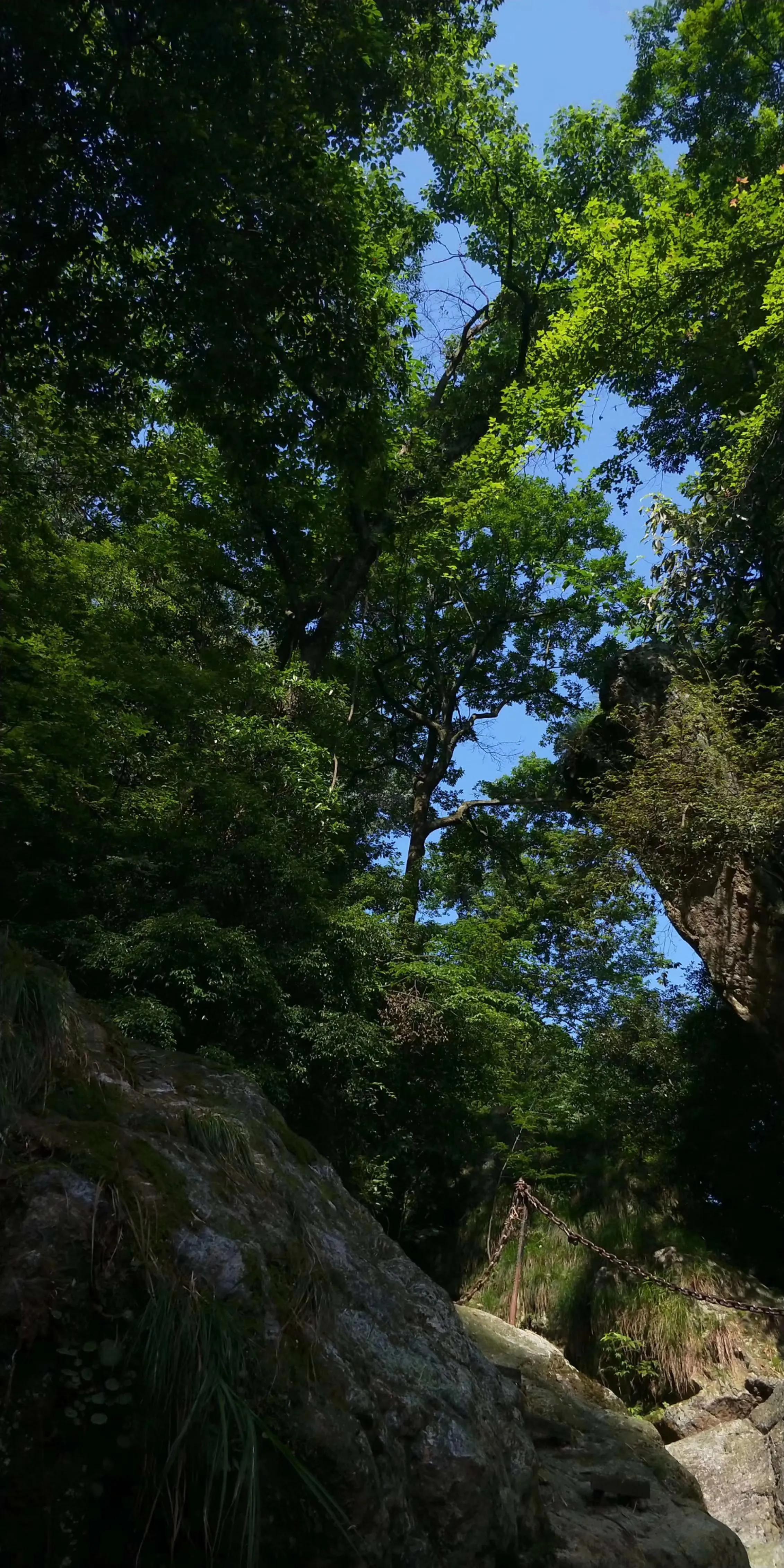 安化茶马古道旅游攻略_古茶马古道_茶马古道安化