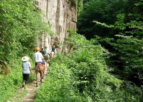 古茶马古道_安化茶马古道旅游攻略_茶马古道安化