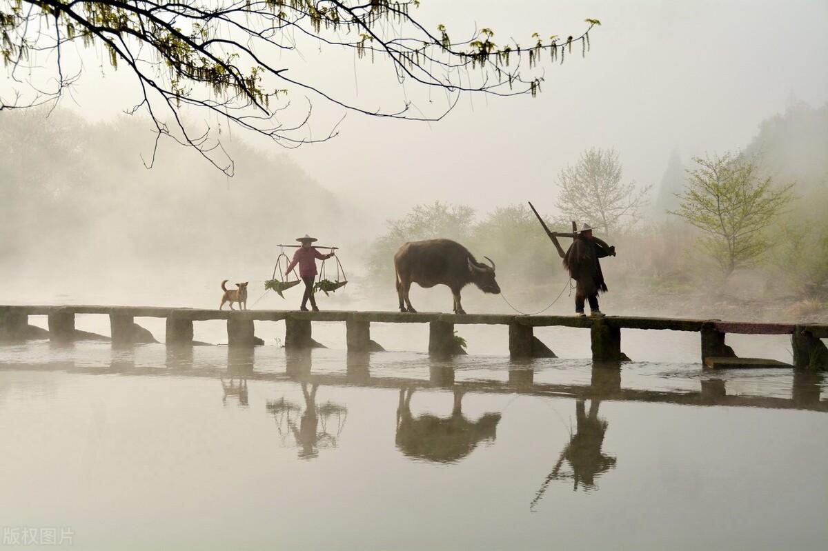 缙云丽水旅游景点大全_丽水缙云县城旅游攻略_丽水缙云好玩吗