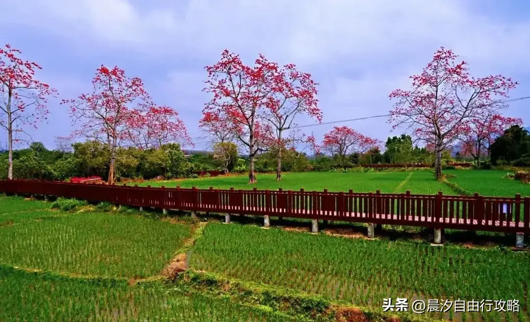 攻略石柱旅游路线图_石柱旅游景区_石柱旅游攻略