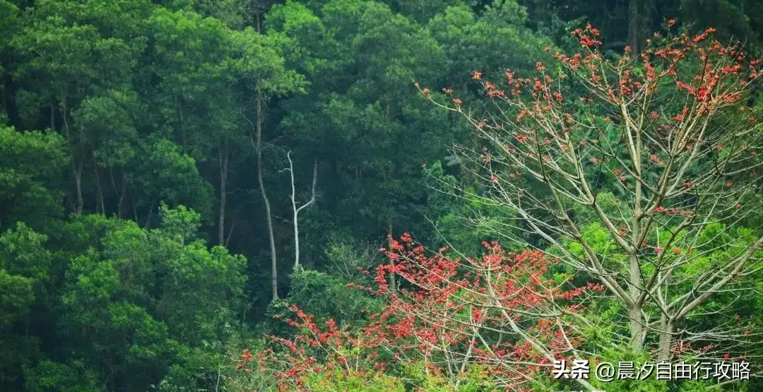 石柱旅游攻略_石柱旅游景区_攻略石柱旅游路线图