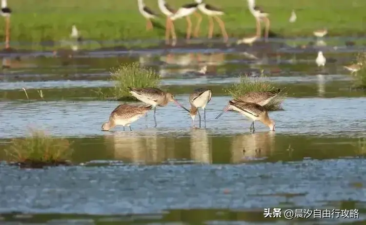 石柱旅游景区_攻略石柱旅游路线图_石柱旅游攻略