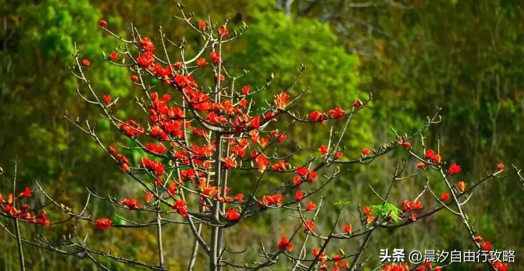 石柱旅游景区_攻略石柱旅游路线图_石柱旅游攻略