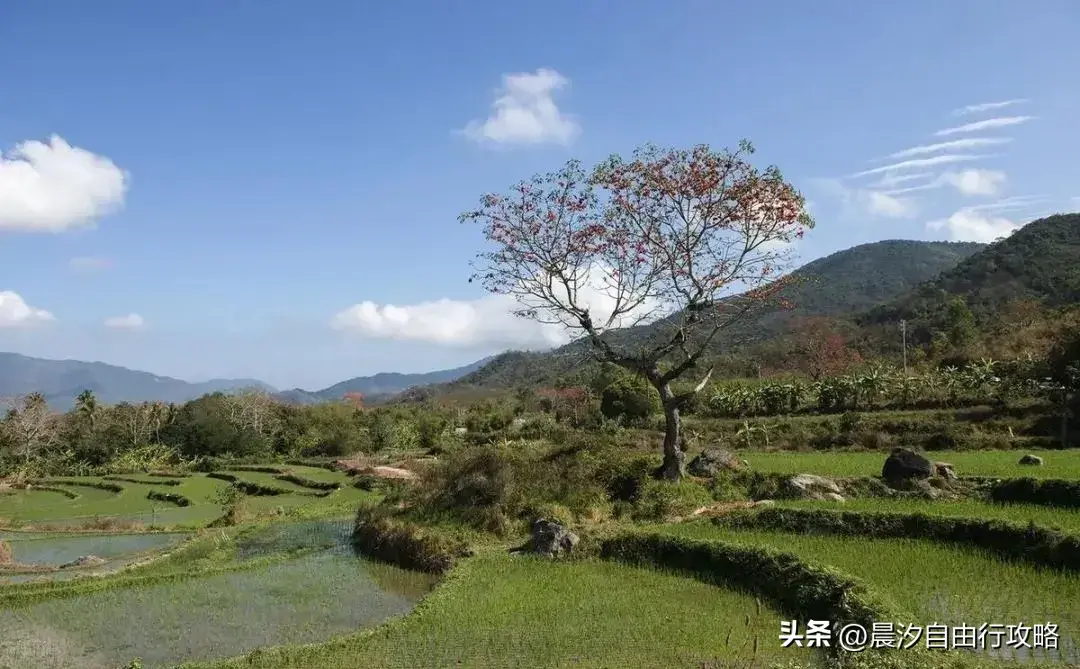 石柱旅游景区_攻略石柱旅游路线图_石柱旅游攻略