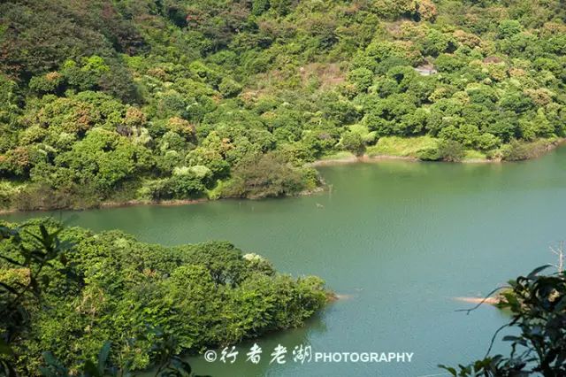 惠州阿婆角的酒店价格_惠州阿婆角旅游攻略_惠州阿婆角和巽寮湾哪个好