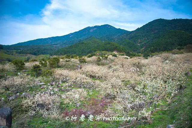 惠州阿婆角旅游攻略_惠州阿婆角的酒店价格_惠州阿婆角和巽寮湾哪个好