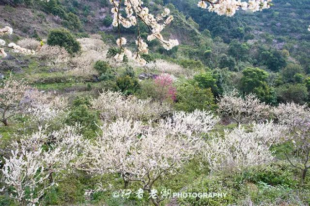 惠州阿婆角的酒店价格_惠州阿婆角旅游攻略_惠州阿婆角和巽寮湾哪个好