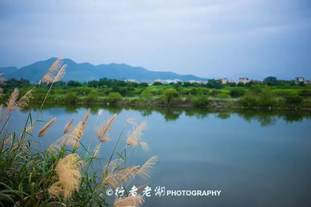 惠州阿婆角的酒店价格_惠州阿婆角旅游攻略_惠州阿婆角和巽寮湾哪个好