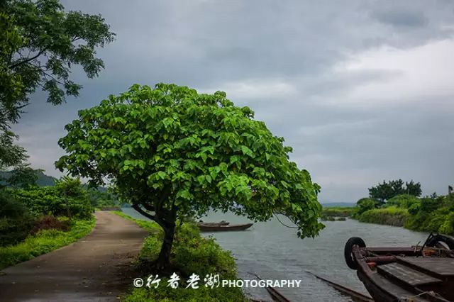 惠州阿婆角和巽寮湾哪个好_惠州阿婆角旅游攻略_惠州阿婆角的酒店价格