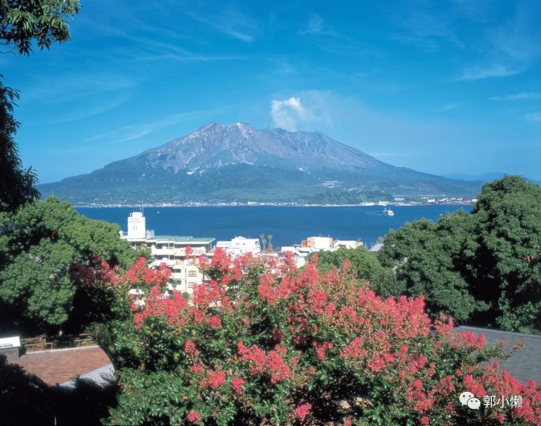 日本邮轮旅游攻略和注意事项_日本邮轮旅游攻略_邮轮旅游日本