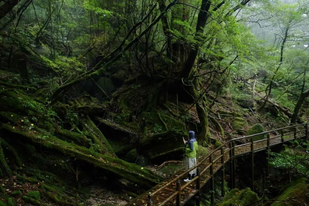 邮轮旅游日本_日本邮轮旅游攻略_日本邮轮旅游攻略和注意事项