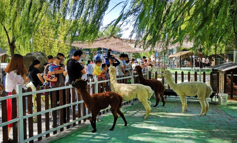 北京蓝地时尚庄园地址_北京蓝地时尚庄园酒店_北京蓝地集团怎么样