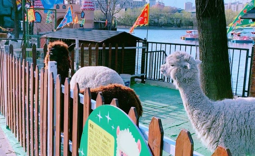 北京蓝地时尚庄园酒店_北京蓝地集团怎么样_北京蓝地时尚庄园地址