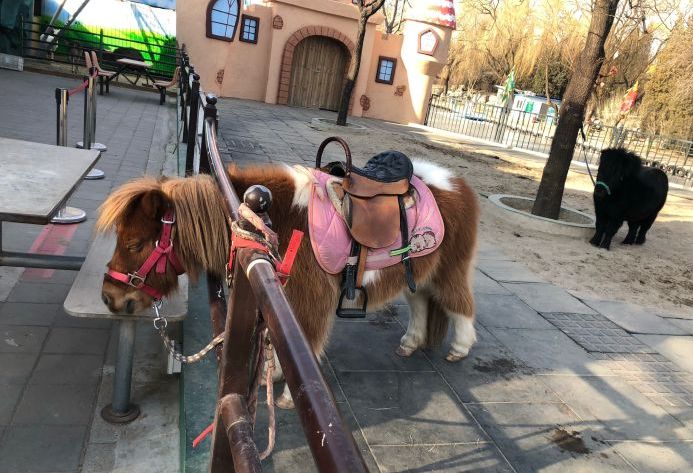 北京蓝地时尚庄园酒店_北京蓝地集团怎么样_北京蓝地时尚庄园地址