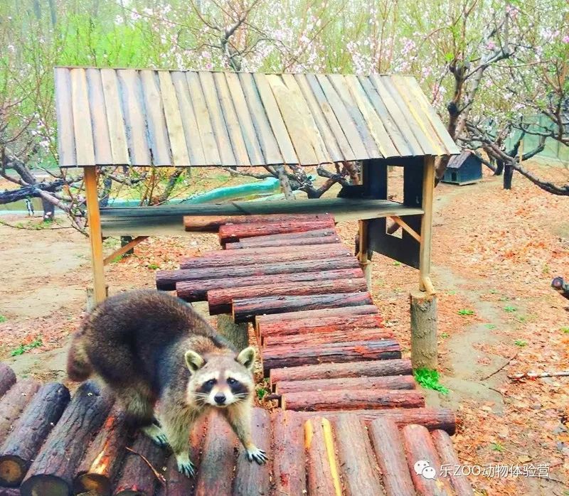 北京蓝地时尚庄园地址_北京蓝地时尚庄园酒店_北京蓝地集团怎么样