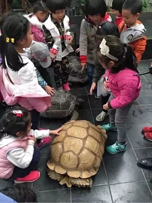 北京蓝地集团怎么样_北京蓝地时尚庄园地址_北京蓝地时尚庄园酒店