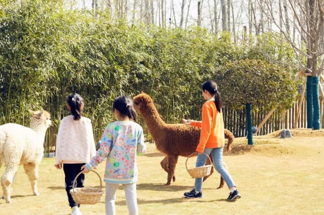 北京蓝地集团怎么样_北京蓝地时尚庄园地址_北京蓝地时尚庄园酒店