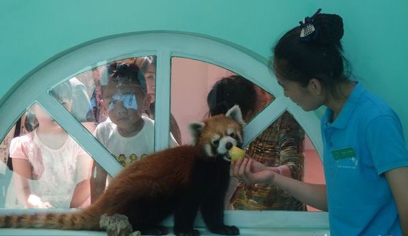 北京蓝地集团怎么样_北京蓝地时尚庄园酒店_北京蓝地时尚庄园地址