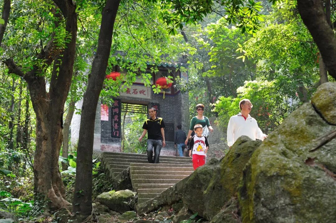 江门石板沙旅游攻略_江门石板沙村旅游攻略_江门石板沙门票