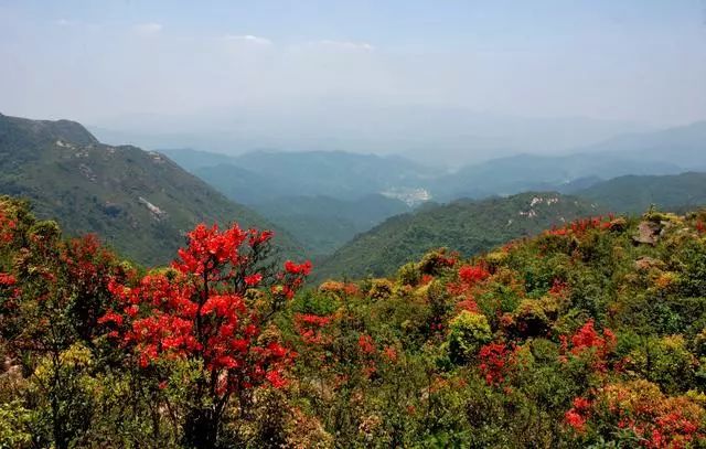 阳山旅游景点自驾游攻略_阳山旅游攻略自驾游_阳山旅游攻略