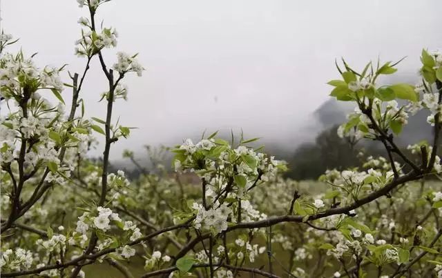 阳山旅游攻略自驾游_阳山旅游景点自驾游攻略_阳山旅游攻略