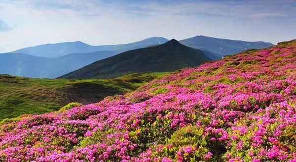 阳山旅游攻略_阳山旅游景点自驾游攻略_阳山旅游攻略自驾游