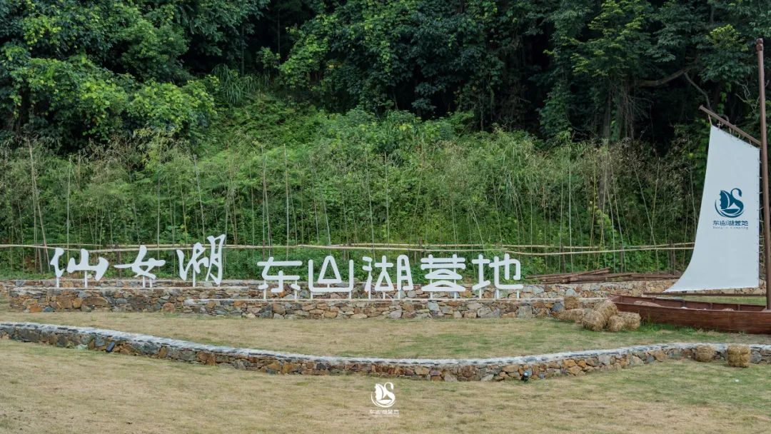 淋巴结肿大鼻咽癌是什么期_三四岁小朋友的特点_肇庆仙女湖旅游攻略