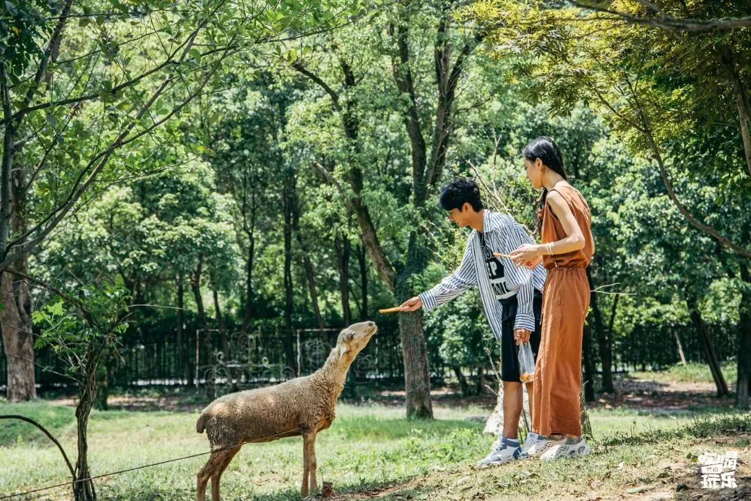 淋巴结肿大鼻咽癌是什么期_三四岁小朋友的特点_肇庆仙女湖旅游攻略