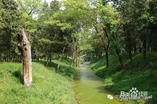 曲阜 旅游攻略_曲阜的旅游攻略_攻略曲阜旅游的地方