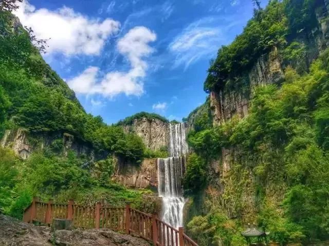 遂昌九龙山旅游攻略_遂昌九龙山自然保护区_九龙山遂昌