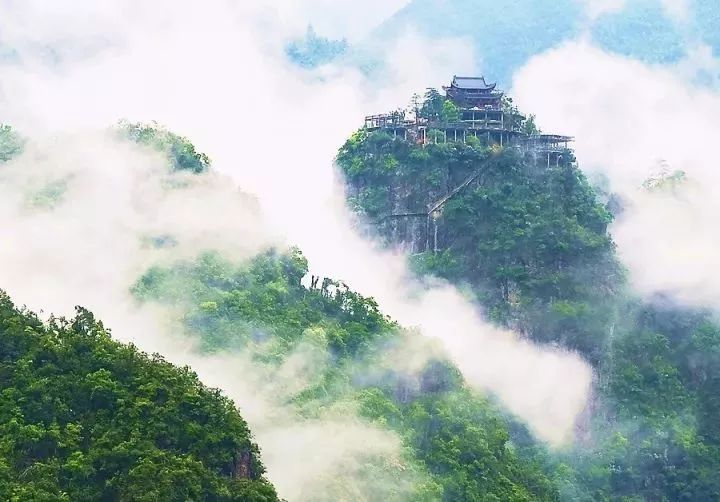 遂昌九龙山旅游攻略_遂昌九龙山自然保护区_九龙山遂昌