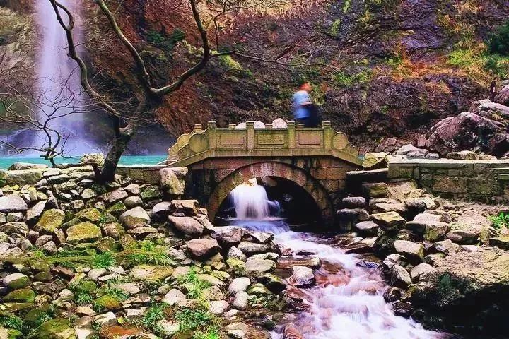 遂昌九龙山旅游攻略_九龙山遂昌_遂昌九龙山自然保护区