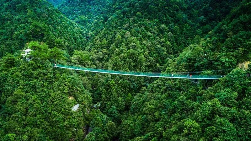 遂昌九龙山风景区攻略_遂昌九龙山海拔多少米_遂昌九龙山旅游攻略