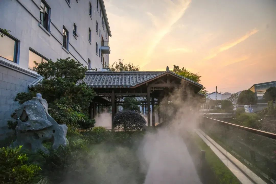 遂昌九龙山旅游攻略_遂昌九龙山海拔多少米_遂昌九龙山风景区攻略