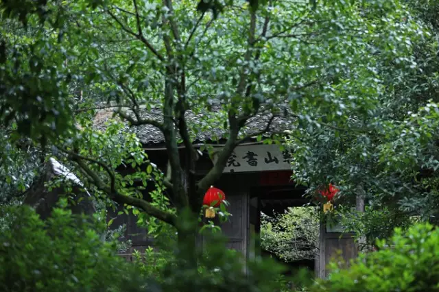 遂昌九龙山旅游攻略_遂昌九龙山风景区攻略_遂昌九龙山海拔多少米