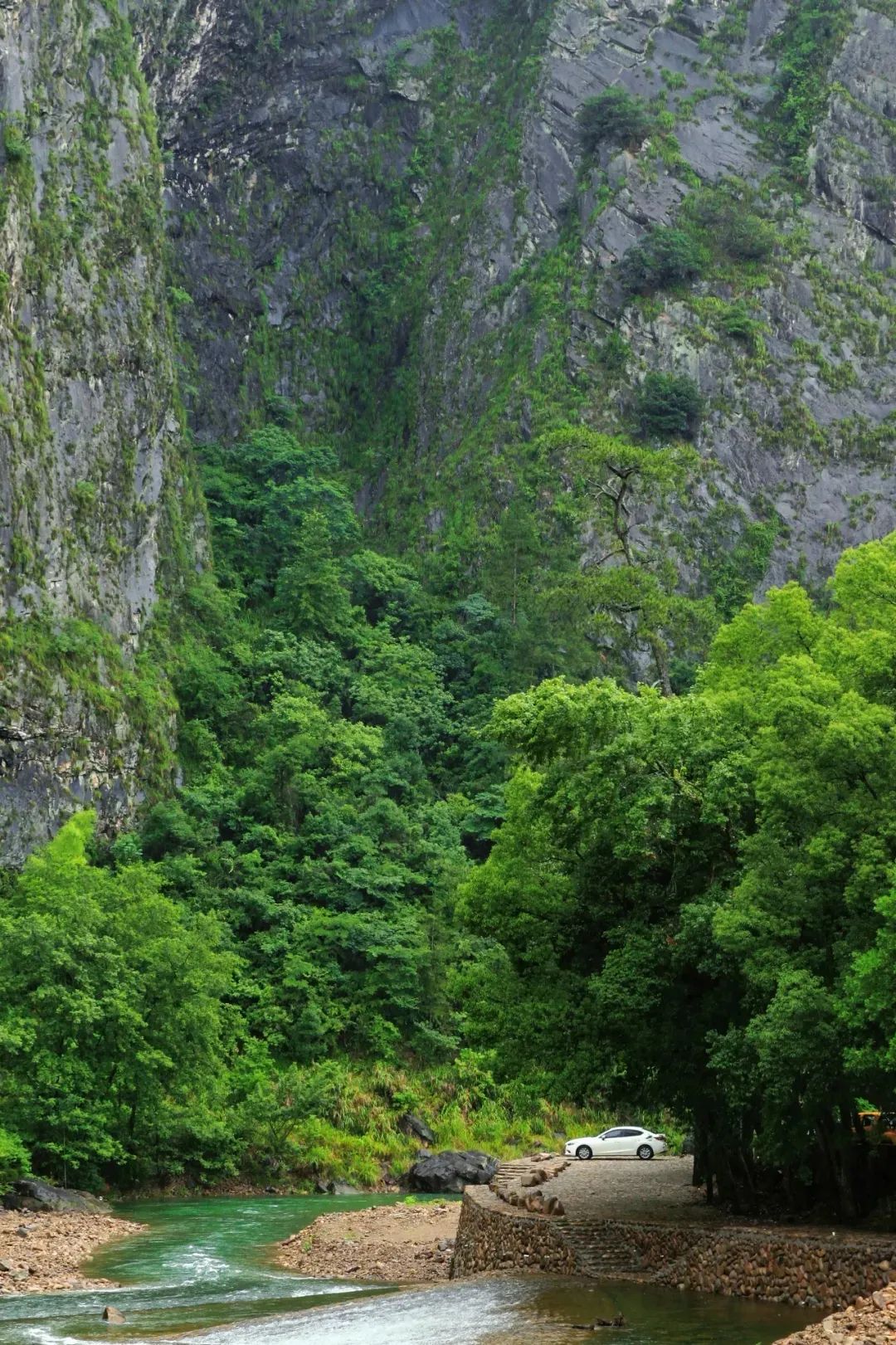 遂昌九龙山风景区攻略_遂昌九龙山旅游攻略_遂昌九龙山海拔多少米