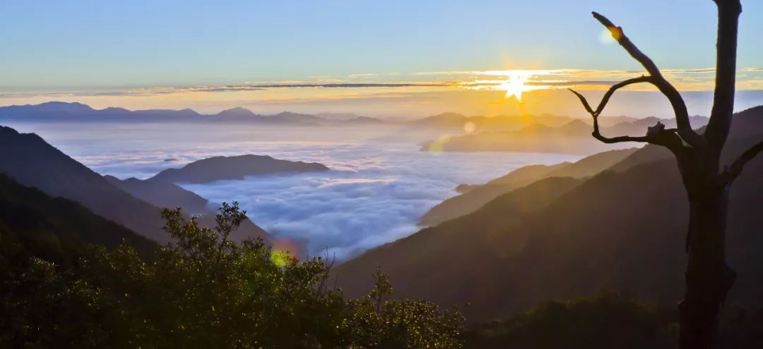 遂昌九龙山旅游攻略_九龙山遂昌_遂昌九龙山国家森林公园攻略