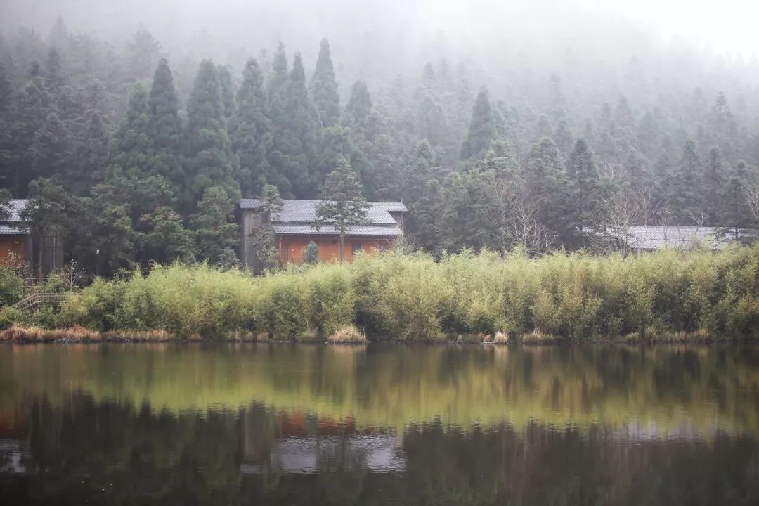 遂昌九龙山国家森林公园攻略_遂昌九龙山旅游攻略_九龙山遂昌