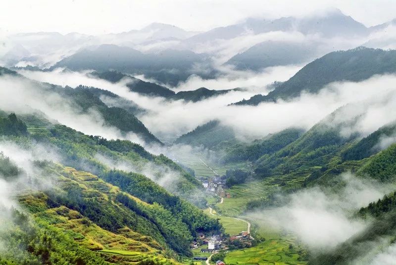 遂昌九龙山国家森林公园攻略_遂昌九龙山旅游攻略_九龙山遂昌