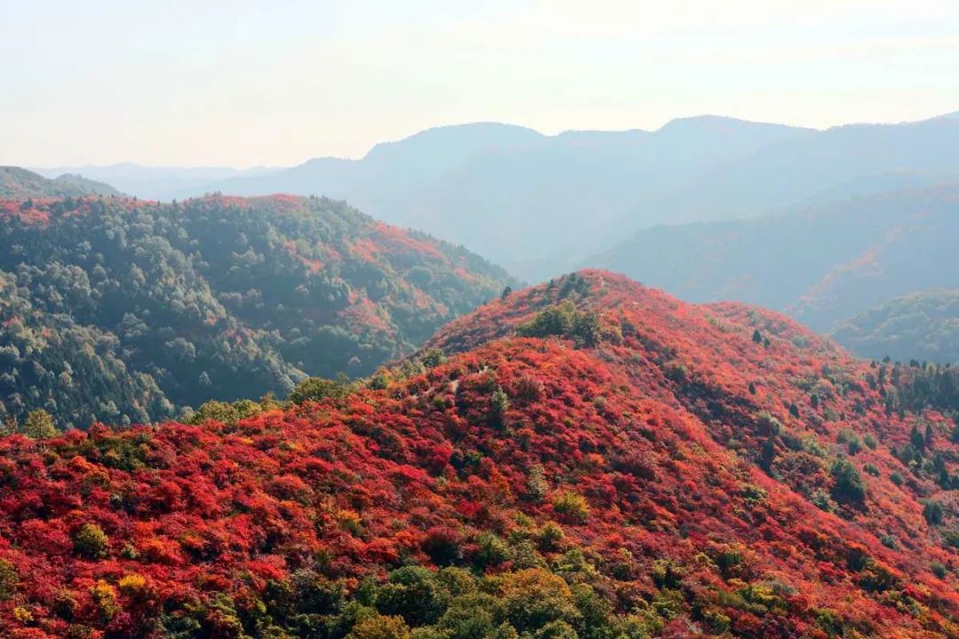 香山公园游玩攻略_香山公园旅游攻略_攻略香山公园旅游路线