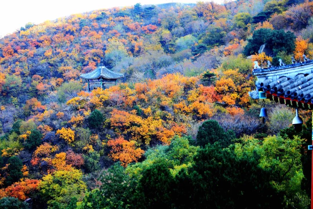 香山公园旅游攻略_香山公园游玩攻略_攻略香山公园旅游路线