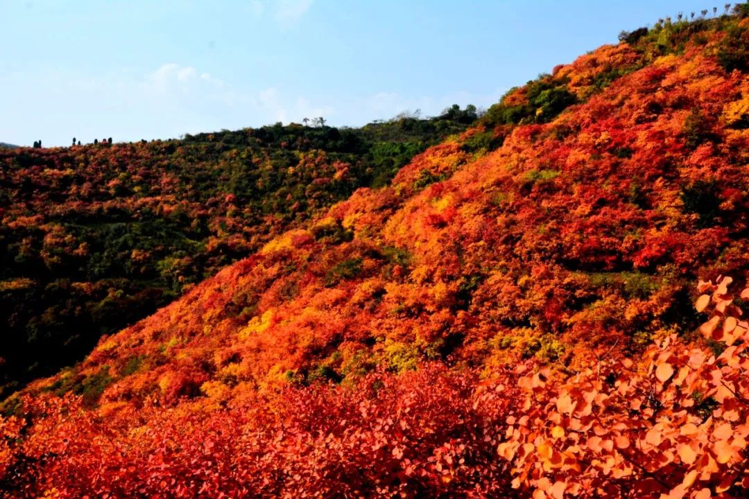 香山公园旅游攻略_攻略香山公园旅游路线_香山公园游玩攻略