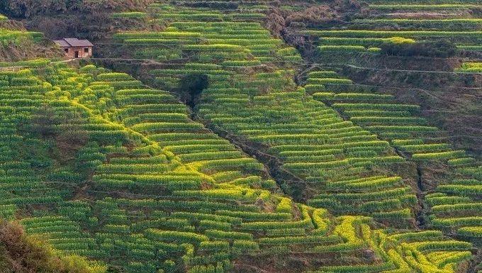 武汉到三清山旅游攻略_武汉到三清山旅游团报价_武汉三清山自驾游攻略