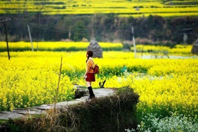 武汉到三清山旅游团报价_武汉到三清山旅游攻略_武汉三清山自驾游攻略