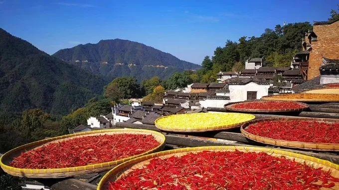 武汉到三清山旅游团报价_武汉到三清山旅游攻略_武汉三清山自驾游攻略