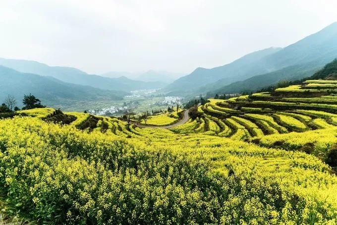 武汉到三清山旅游攻略_武汉到三清山旅游团报价_武汉三清山自驾游攻略