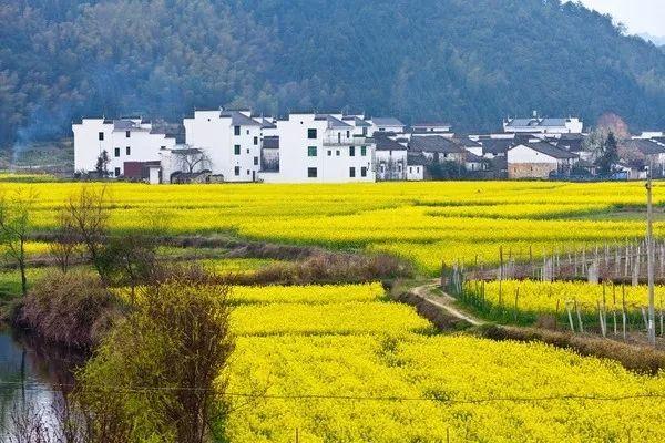 武汉三清山自驾游攻略_武汉到三清山旅游攻略_武汉到三清山旅游团报价