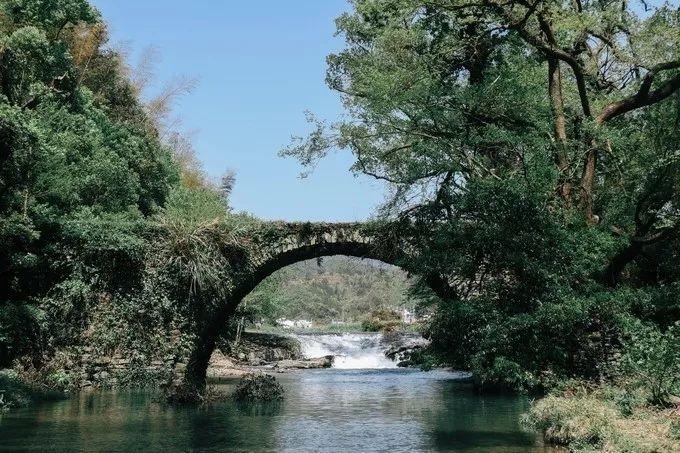 武汉到三清山旅游团报价_武汉三清山自驾游攻略_武汉到三清山旅游攻略