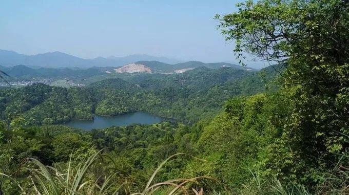 武汉三清山自驾游攻略_武汉到三清山旅游团报价_武汉到三清山旅游攻略